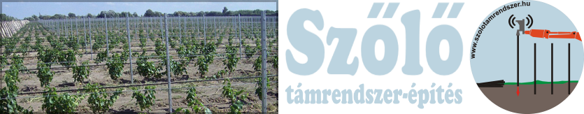 Szőlő támrendszer-építés